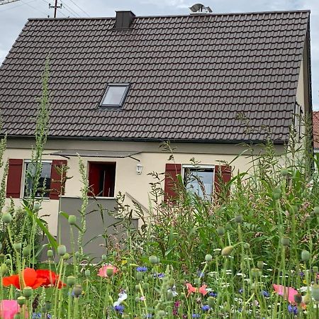 Ferienhaus -HAUS DER WEICHSEL- bei Lauingen, mit Sauna Veitriedhausen Exterior foto